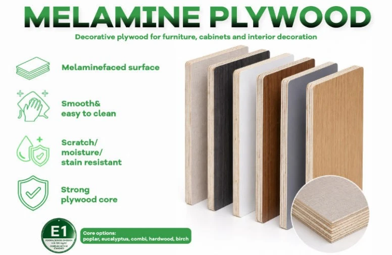 product-776-505 product-776-505